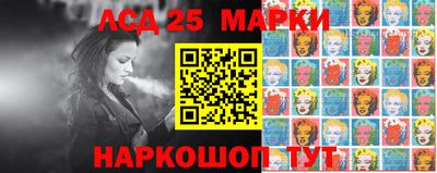шишки Кандалакша