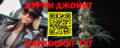 шишки Кандалакша