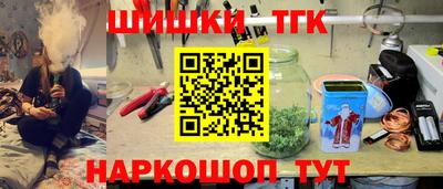 шишки Кандалакша
