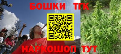 шишки Кандалакша