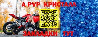шишки Кандалакша